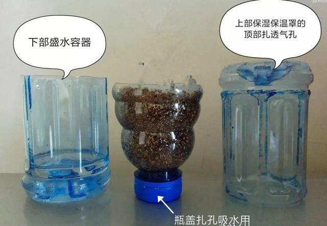  『省钱』1个塑料瓶，居然有8种养花方法，省钱又好用！
