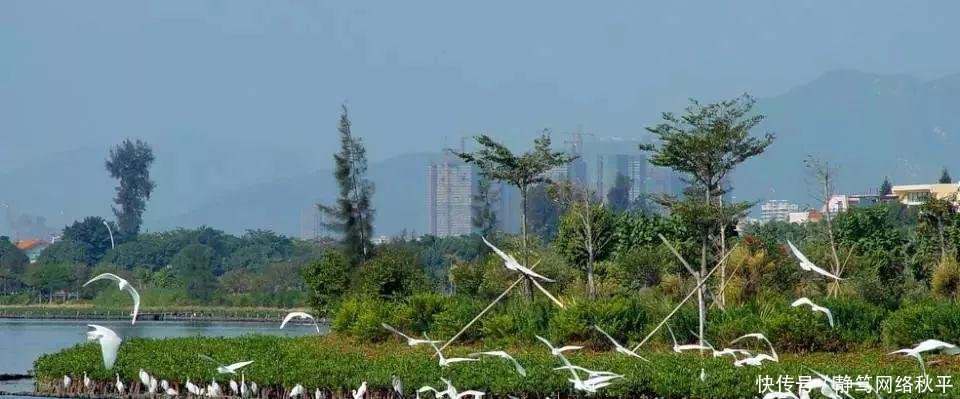 刚刚! 厦门被重新定位…一句话说尽了厦门人的现状!