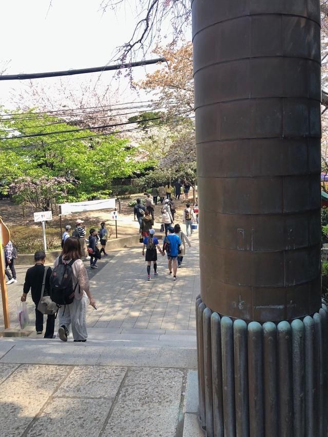 中国人要向日本人学习的几个长处，作者实拍，图四令人深思