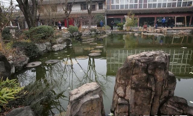 西安西郊有座江南私家花园 看锦鲤咥养生石斛面只需16元