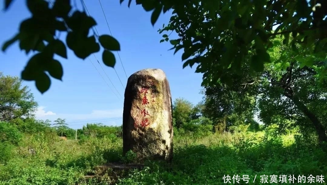  『含羞草』含羞怕人的害羞小草，原产于美洲热带，如今正在海南无休止地繁殖