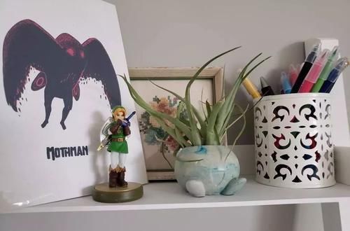  【植物就】除了绿萝、富贵竹，桌面上的盆栽植物还有很多，这几种特可爱