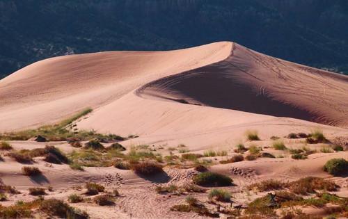 沙漠底下会有什么？说出来的答案你不一定会相信