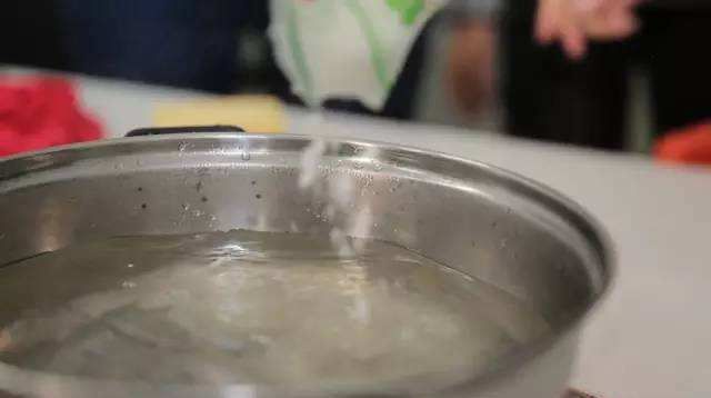  「玩意」绿萝、富贵竹养不好？用上这3种“玩意”，白根狂冒，叶片油汪汪