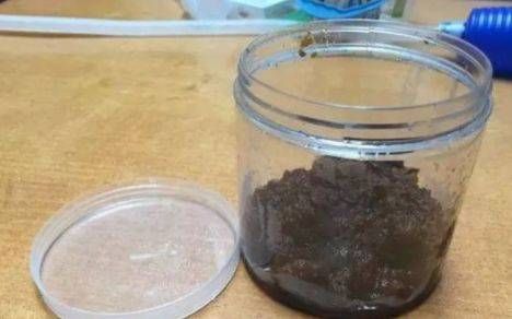 「即可」红枣、蜂蜜、红糖,熬制即可制作天然红枣膏,诱鱼有奇效