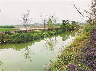  [河道]灌溉河道流速较快、有水草，怎么挑选藏鱼的好钓位
