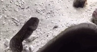 姑娘，你裙子挺好看的，只是脚上的鞋子好想不搭配吧，真尴尬