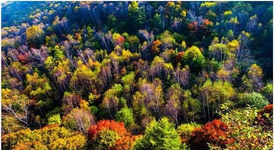 秋日里，山西20处绝美赏秋胜地美的像仙境