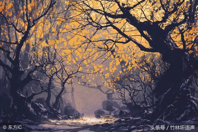 遇见秋，犹如故人归，愿时光多一些明媚，岁月静好，你亦无恙！