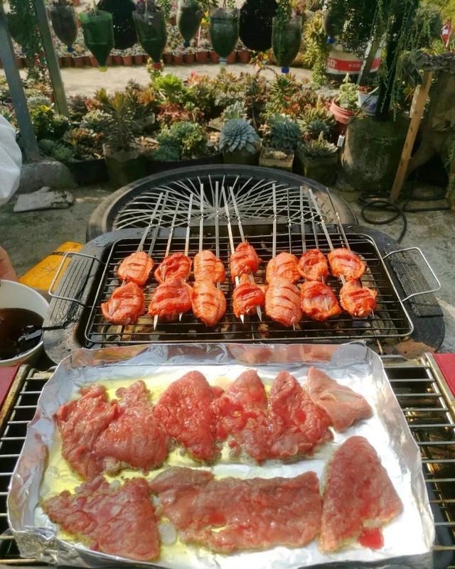  「楼顶」四川大哥养多肉，创意无极限，生活巴适得很！