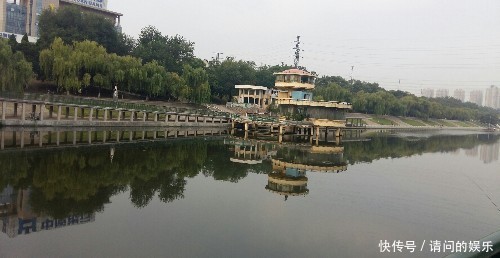 平顶山美景垂柳悠悠湛河秋，凉风习习九月首，莲蓬盈盈向天笑