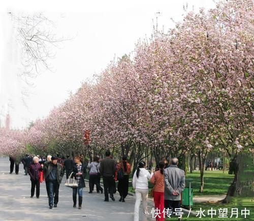 浙江5A景区最多的地级市，江南六大古镇占据1/3，冬季五大必游地