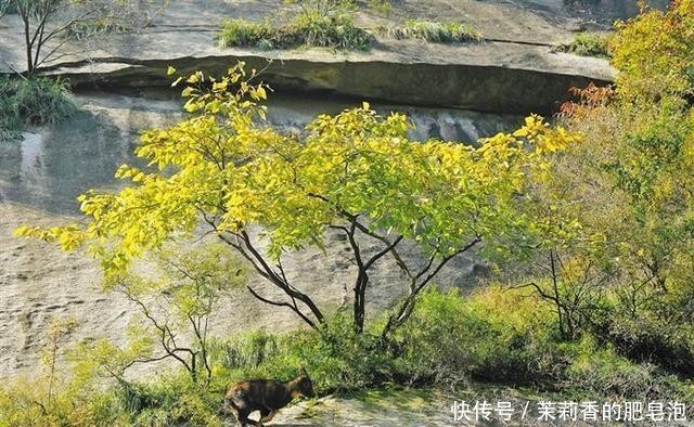 陕西生态旅游巡礼：送你一个万物生长的“生态华山”