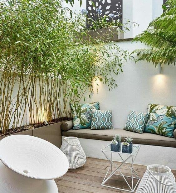 庭院竹子50张图告诉你，花园里种竹子有多高大上，气质瞬间提升