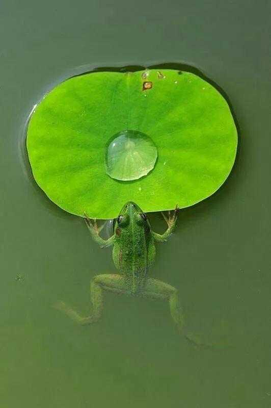 奇妙风光,难得一见