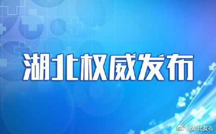  [防控]武汉疫情防控处于胶着状态 目前保障两类人员返汉