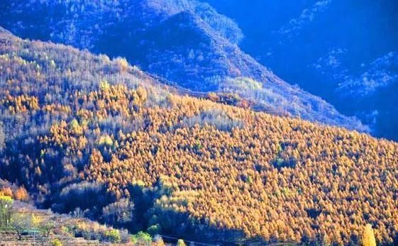 很多人还不知道，京西有个“百花山下第一村”，简直美的不行