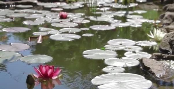 风水学告诉你：风水中的“水”哪些吉利？哪些不吉？