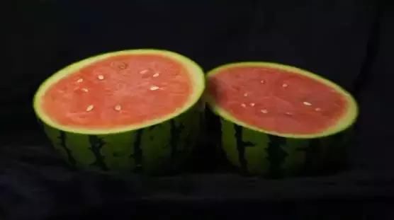  [尹明礼]一年销瓜400万元，看这个“弃笔投瓜”者把西瓜咋玩的？