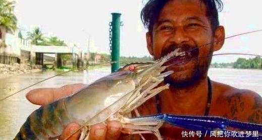湄公河大虾泛滥，为何中国吃货不敢“下嘴”？导游：多得让人疑虑