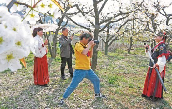  『花成』点花成“金”！安徽因地制宜发展“花经济”