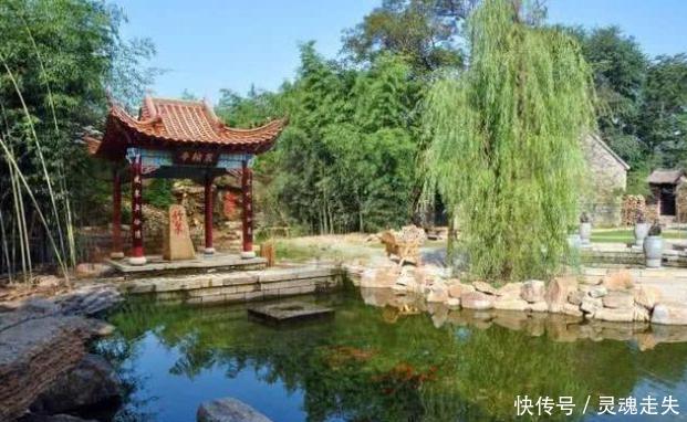  历史：山东这个村子很特别，居住在竹林里面，距今400多年历史！