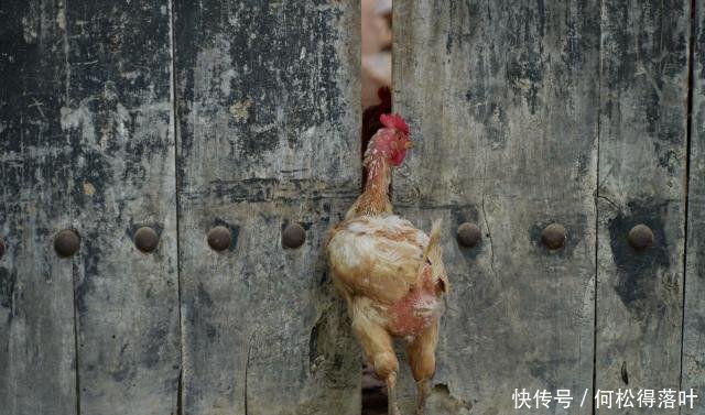 山西运城农家,上个世纪70年代场景再现,看啥样子