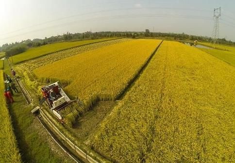 未来在农村，这3种人的日子可能难过了，希望没有你