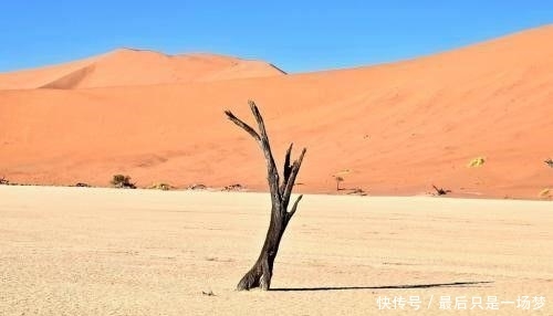 将黄河引进沙漠会怎样 这个试验把新疆朋友看笑, 结局让人欣喜