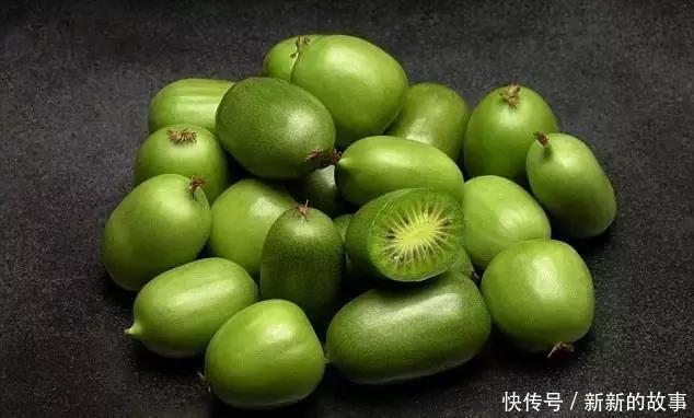  【种植】院子里不要种菜了! 此果树﹣30度冻不死, 1年能结200斤,