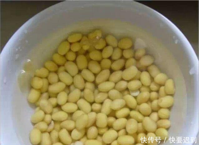  『开春以后』早早把玉树“剃成”光杆子，新芽嗖嗖冒，1年变老桩！