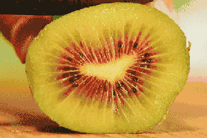  [猴桃品种]奇异果=学成归国的猕猴桃？