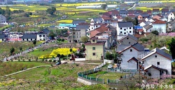  【农村】10年后，农村哪些东西最贵？不是房子和车，而是这3样东