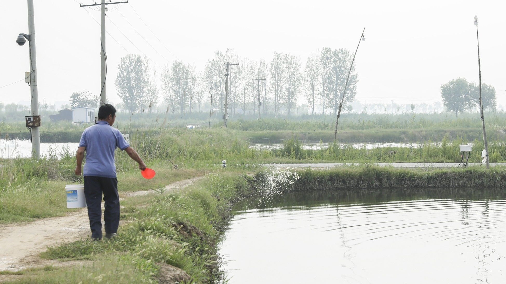 黄河岸边曾经的农村盐碱地，现在12000个虾池，农民们的梦想