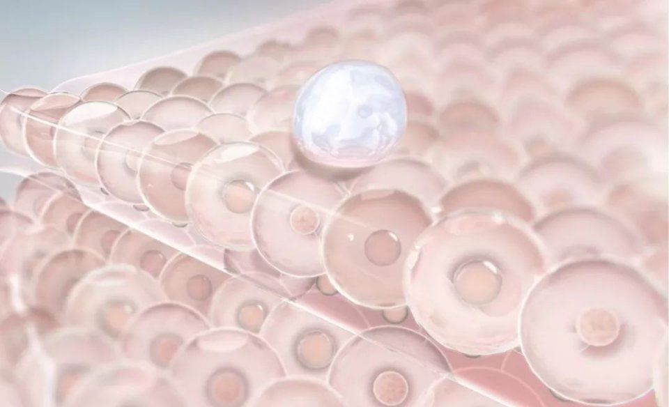 厉害| 孙怡产后少女感爆棚，元气满满的她看起来简直逆生长