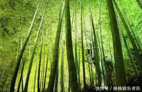 「不少」“大海啊你全是水”算诗吗?读完这两首诗,让人不敢再小看这7字