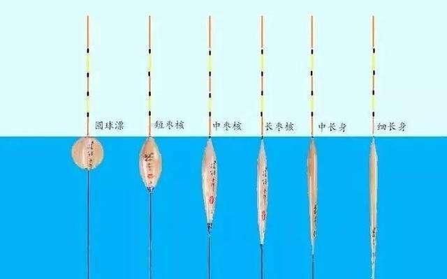 新钓鱼人■钓鱼新人看过来,跟我学钓鱼!带给你全新钓鱼知识