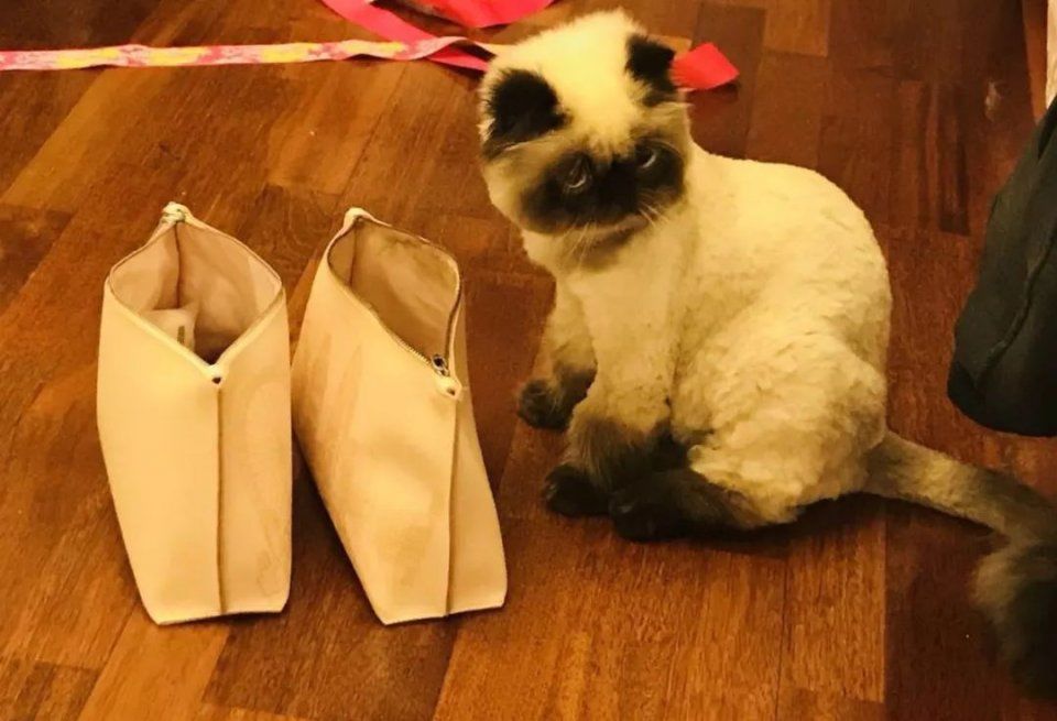 某天后被骂整容肿成胖头鱼,导演来辟谣:是275天熬夜熬的......