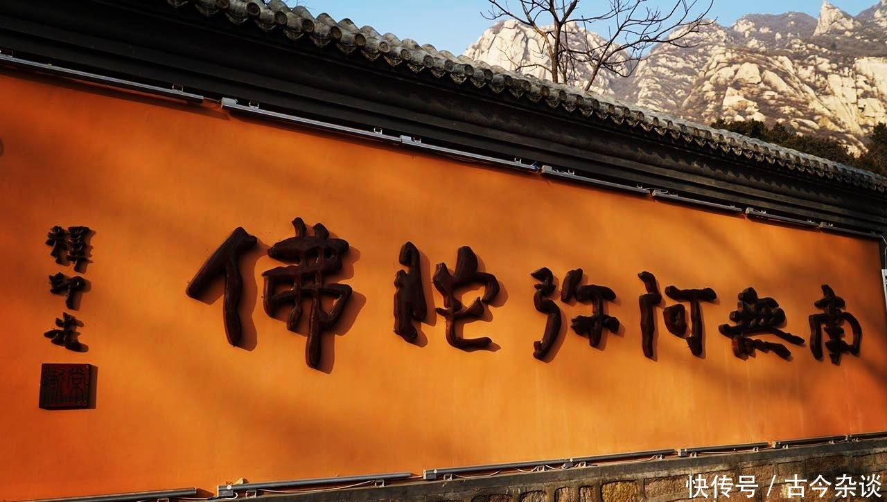 为何精英、名校博士扎堆寺庙，没有文凭都没资格当和尚、尼姑？