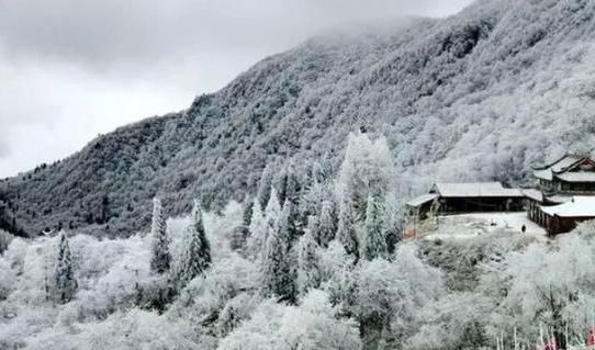 成都周边野生耍雪地，人少景美不收门票！周末出游计划提上日程