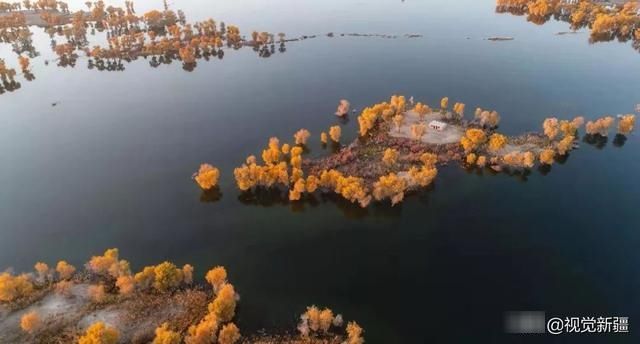 大山 沙漠 湖泊 金胡杨是大自然最完美的构图