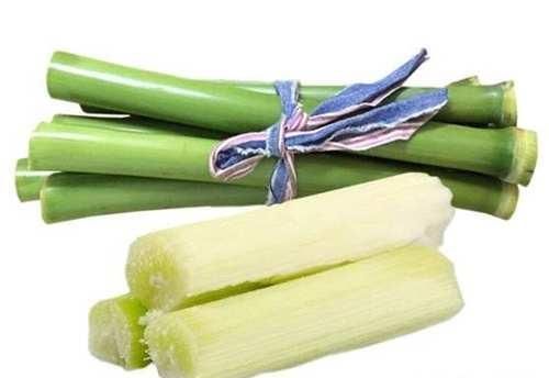  可知|南方有种作物叫甘蔗, 你可知: 到了北方叫什么