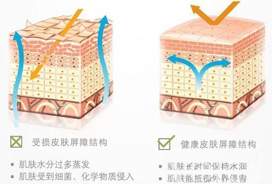  #皮肤屏障受损#只有10%人懂 泛红发痒脱皮是肌肤屏障受损你还不知道吗？