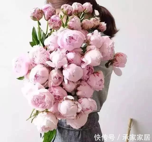 『祝花』爱养花,会养花的人,生活一定不会太差!祝花常开,祝你常笑!