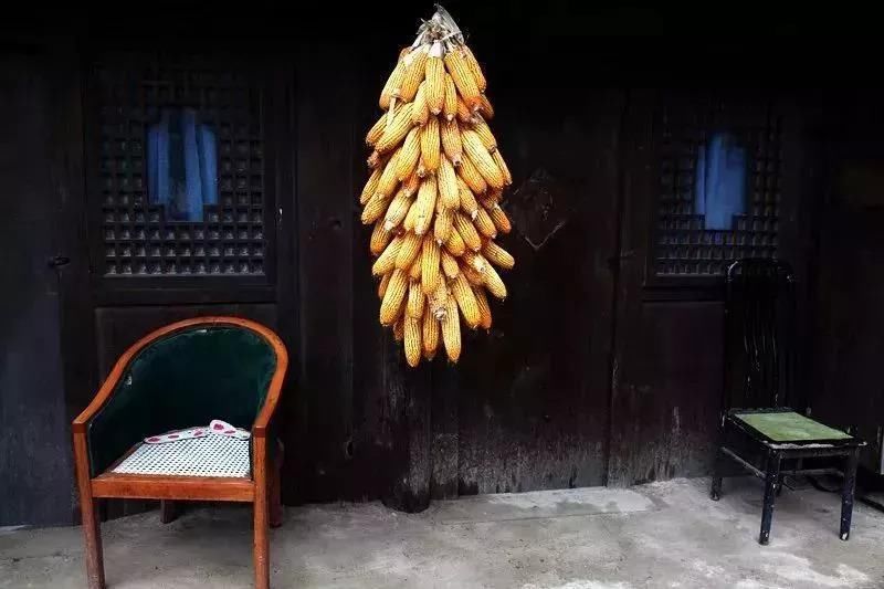 彩林之秋毕棚沟 | 赏秋要趁早!9月份就可以来这里赏红叶彩林了