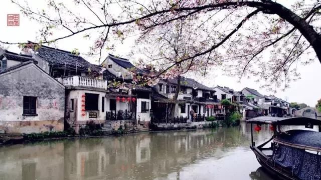 春天最适合一个人小住几日的安静古镇，累了就出去走走！