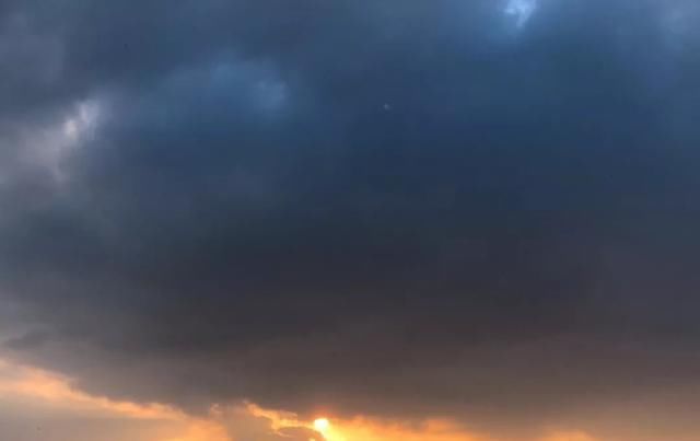 十一月，家里的植物