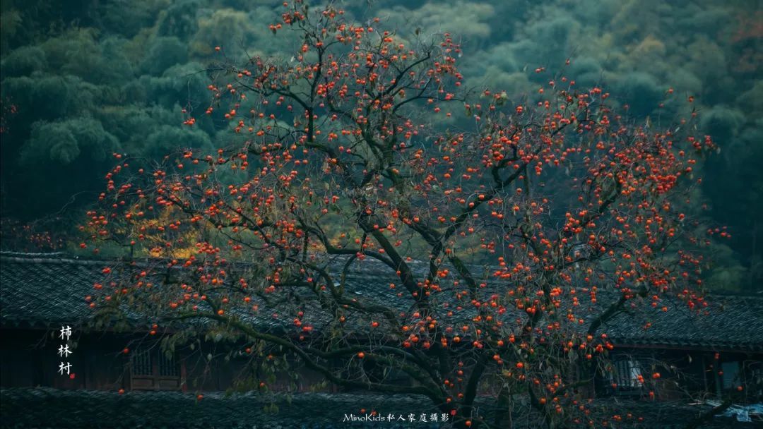 10个藏在深山人不知的古村落，却是世外桃源