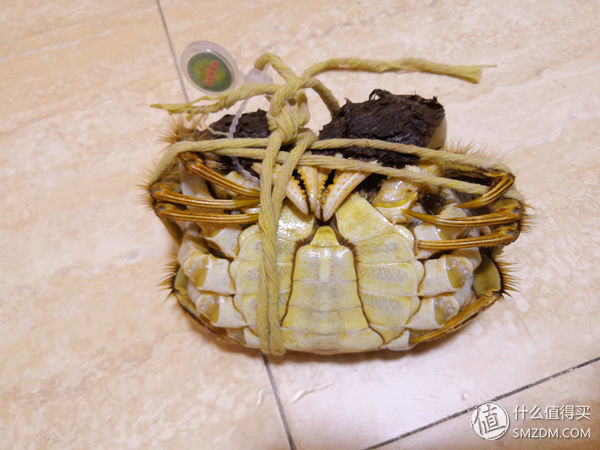 任你天花乱坠，简单一试，我就知道这大闸蟹值不值得吃!