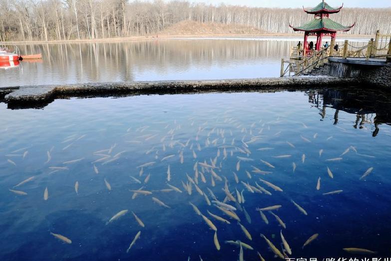 冬游长白山西北麓露水河碧泉湖